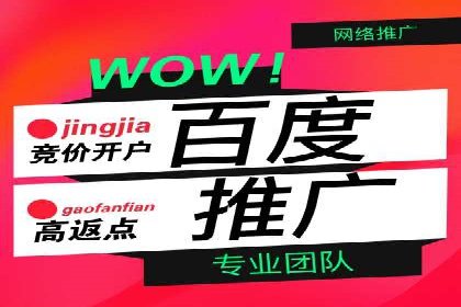某品牌通过百度SEM提升品牌知名度的实战案例